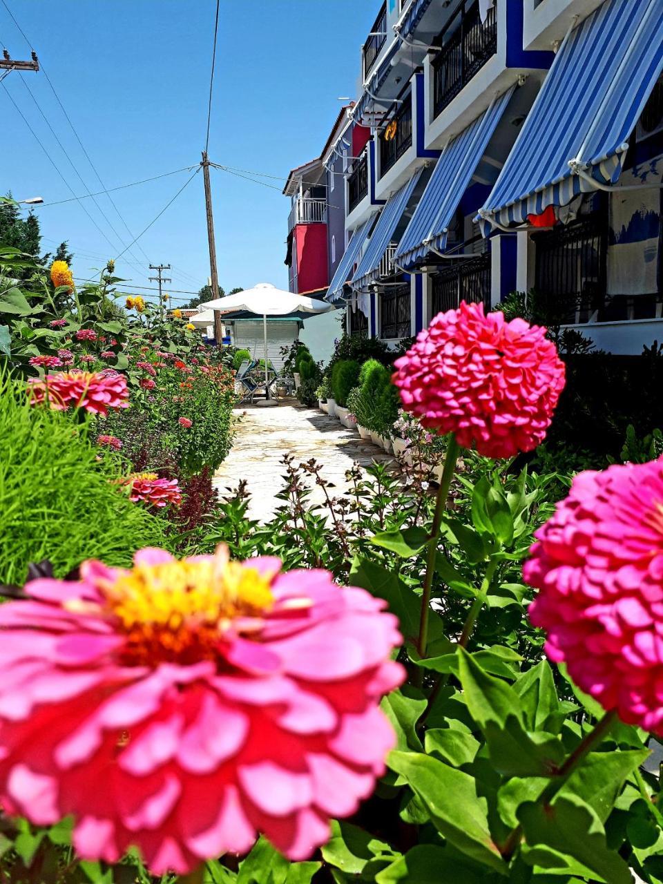Zante Dahlia Ξενοδοχείο Λαγανάς Εξωτερικό φωτογραφία