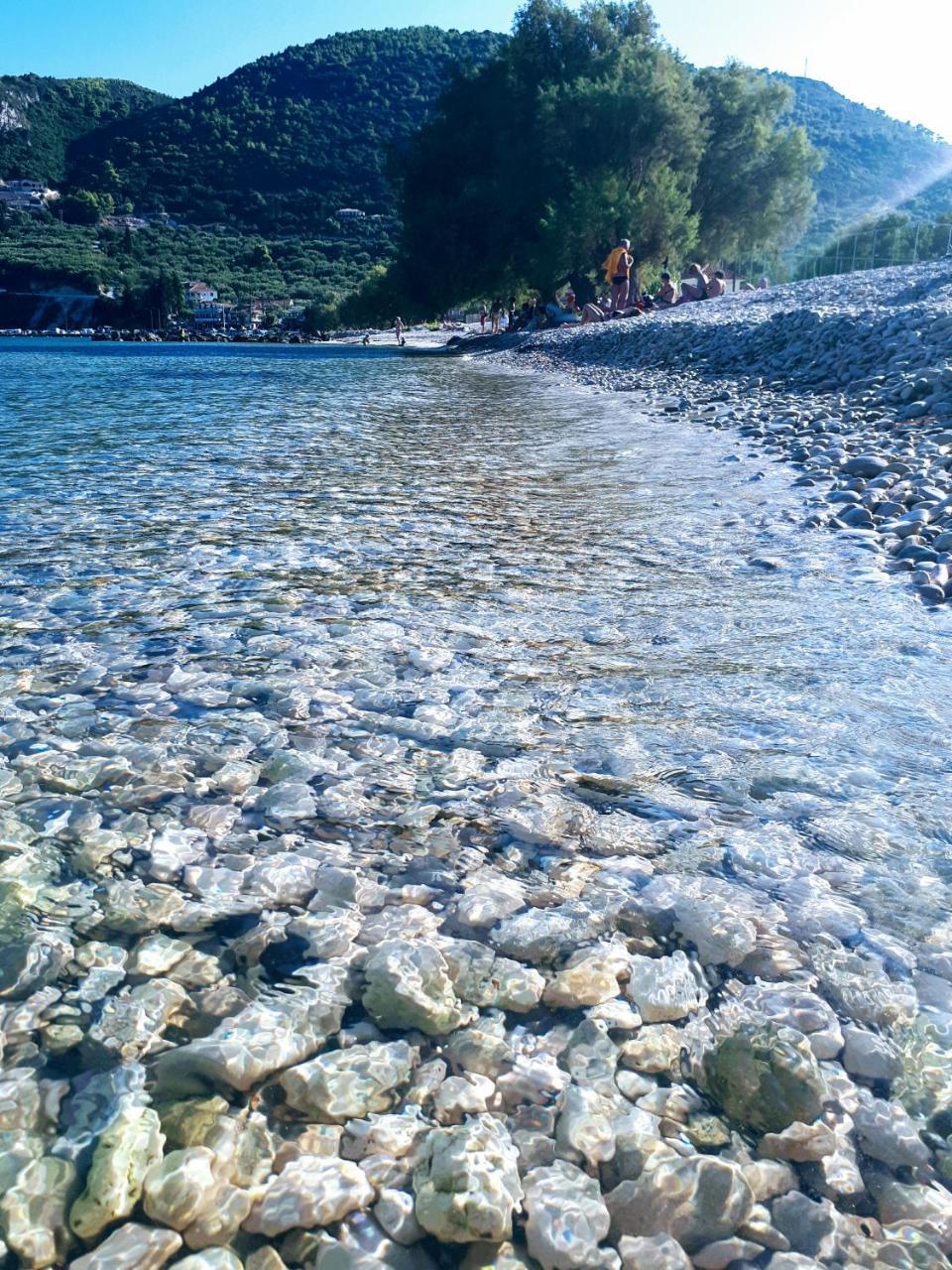 Zante Dahlia Ξενοδοχείο Λαγανάς Εξωτερικό φωτογραφία