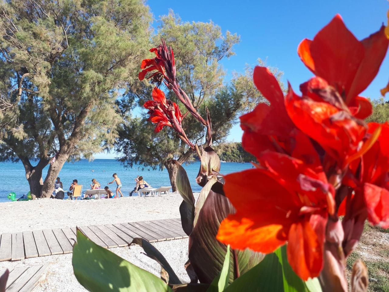 Zante Dahlia Ξενοδοχείο Λαγανάς Εξωτερικό φωτογραφία